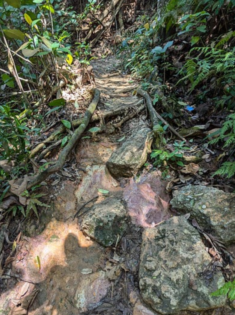 Walking in an “unwalkable” city