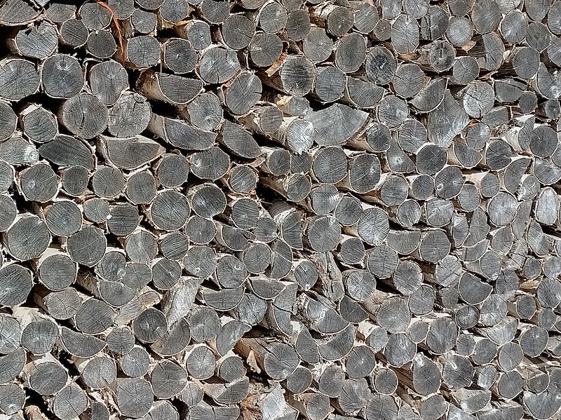 Patience / பொறுமை