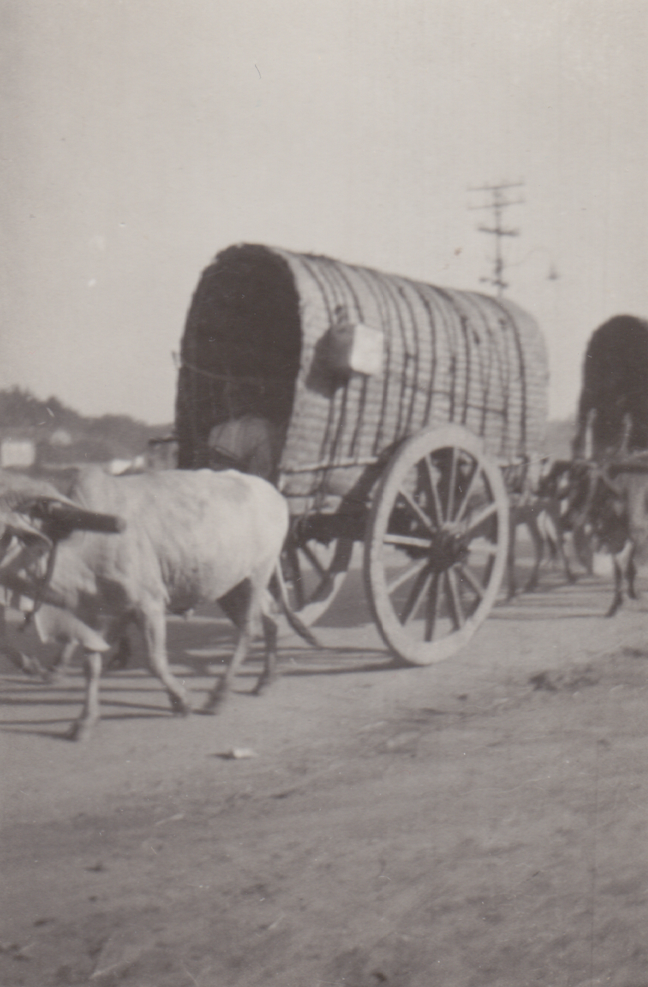 வண்டிற்பயணம்